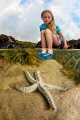   Starfish rock pool  